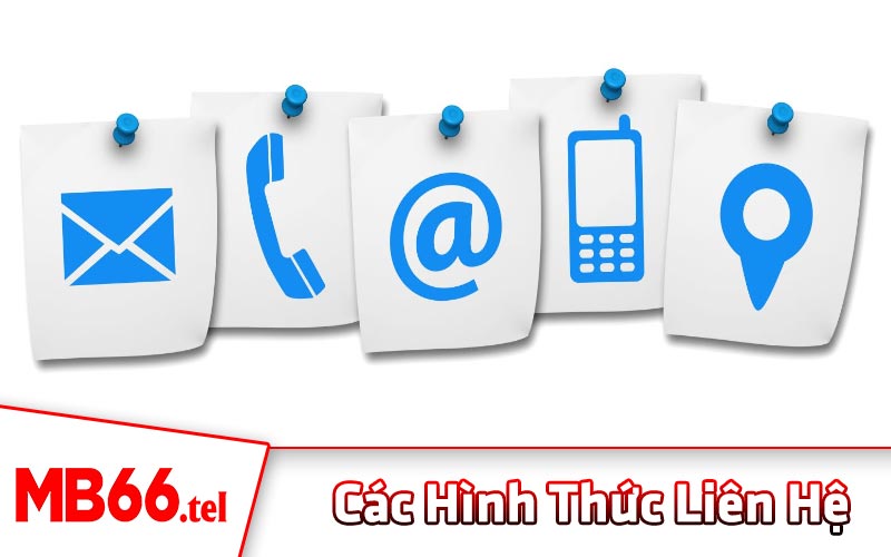 Các hình thức liên hệ