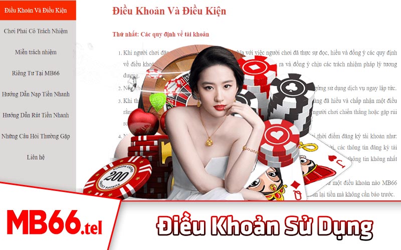 Điều khoản sử dụng