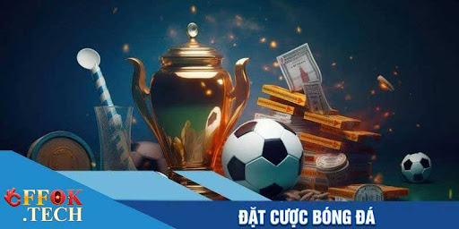 Đặt cược bóng đá